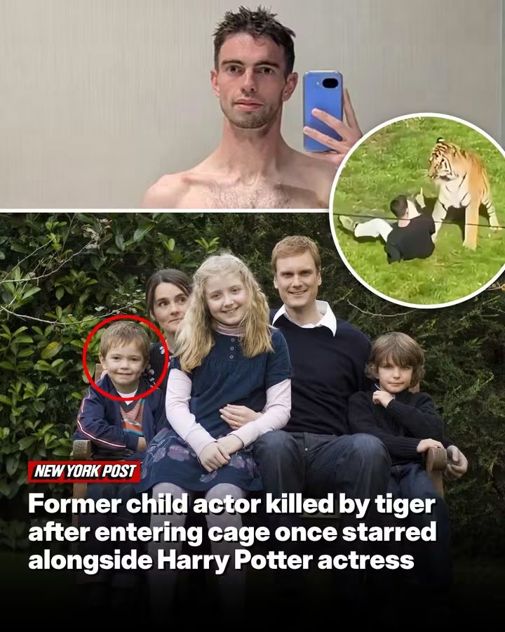 The one-time actor, described by friends as emotionally distraught prior to the attack, trained at the prestigious Jackie Palmer Stage School.